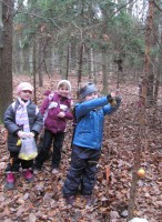 /album/a20-12-vanocni-les/vanocni-les-4-jpg/